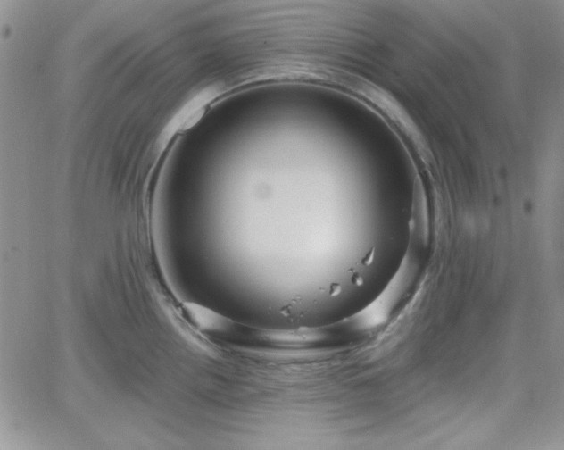 X0000066511242200603201250
