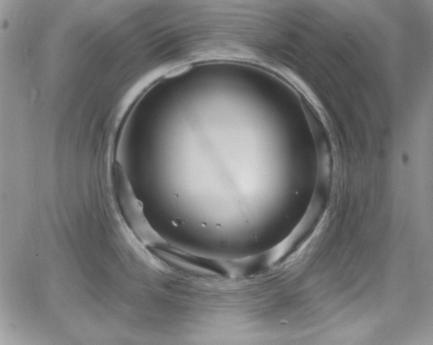 X0000066511246200603201250