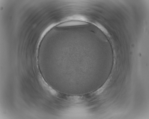 X0000066511248200603201250