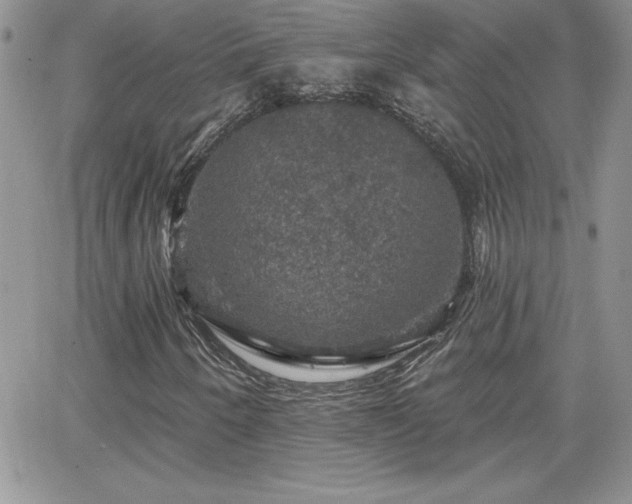 X0000066511250200603201249