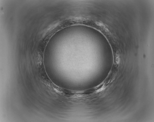 X0000066511253200603201249