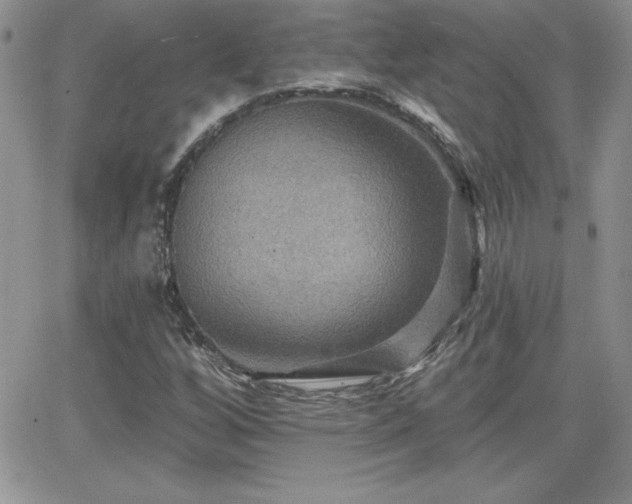 X0000066511256200603201249