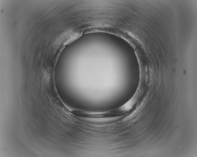 X0000066511257200603201249