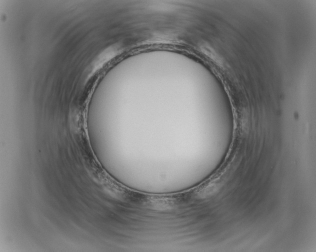 X0000066511258200603201249