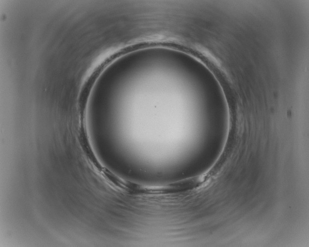 X0000066511270200603201249