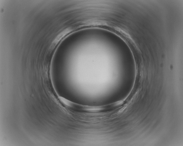 X0000066511273200603201249