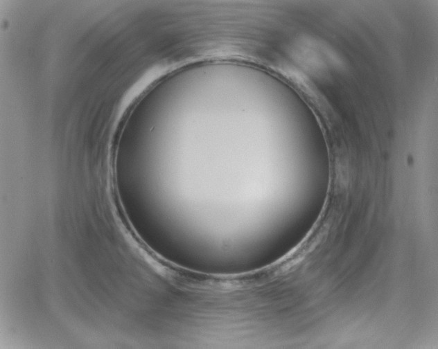 X0000066511286200603201249