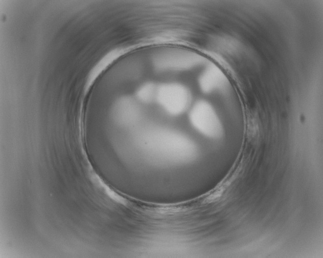 X0000066511294200603201249