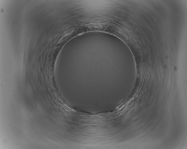 X0000066511297200603201248