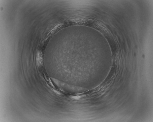 X0000066511298200603201248