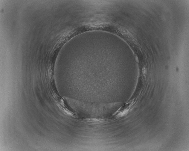 X0000066511300200603201248