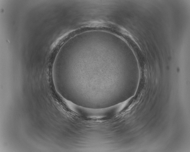 X0000066511304200603201248