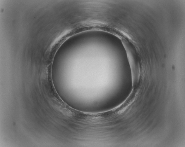 X0000066511309200603201248
