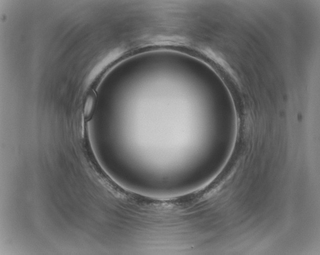 X0000066511317200603201248