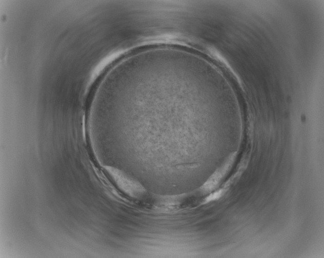 X0000066511320200603201248