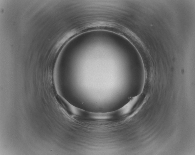 X0000066511321200603201248