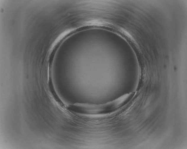 X0000066511323200603201248