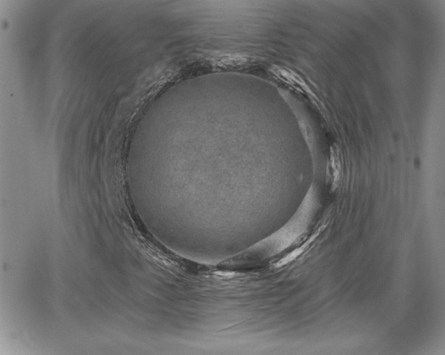 X0000066511345200603201248