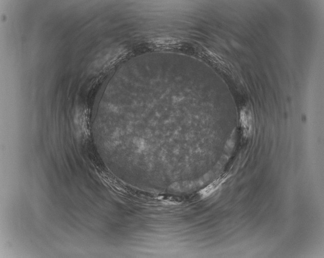X0000066511346200603201248