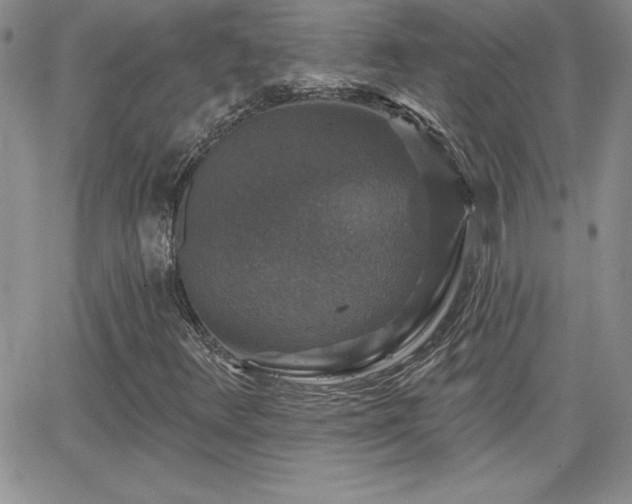 X0000066511348200603201248