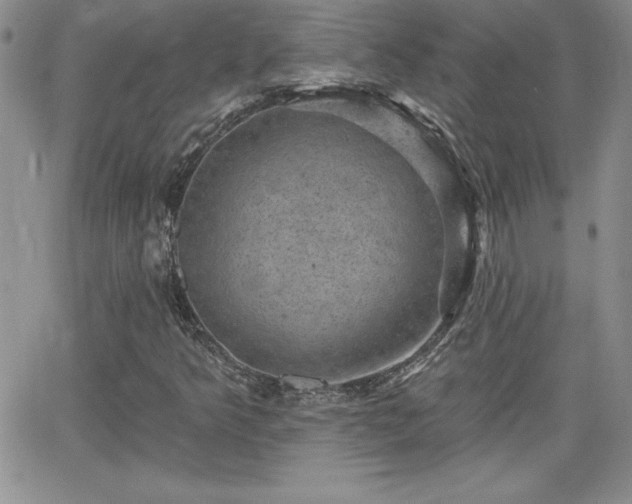 X0000066511349200603201248