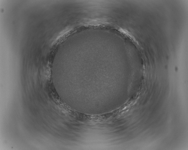 X0000066511350200603201248