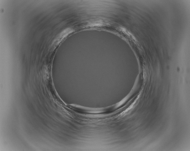 X0000066511353200603201248