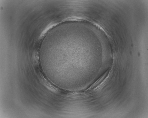 X0000066511355200603201248