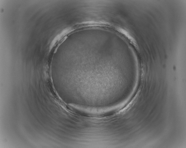 X0000066511357200603201248