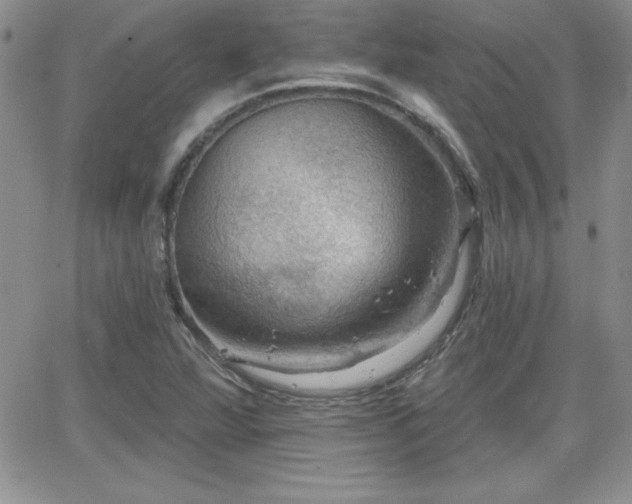 X0000066511360200603201248