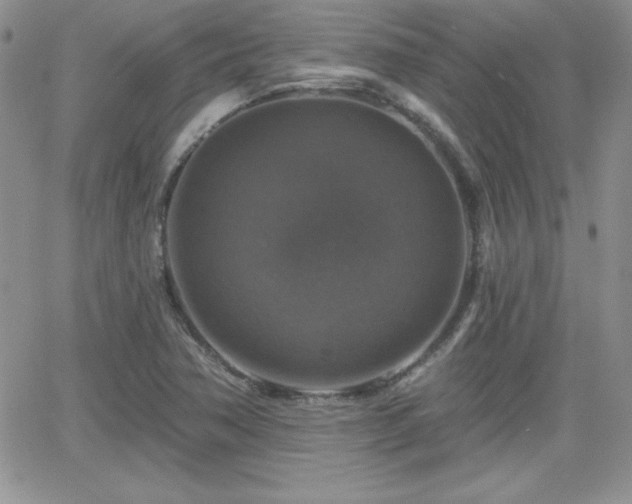 X0000066511362200603201248