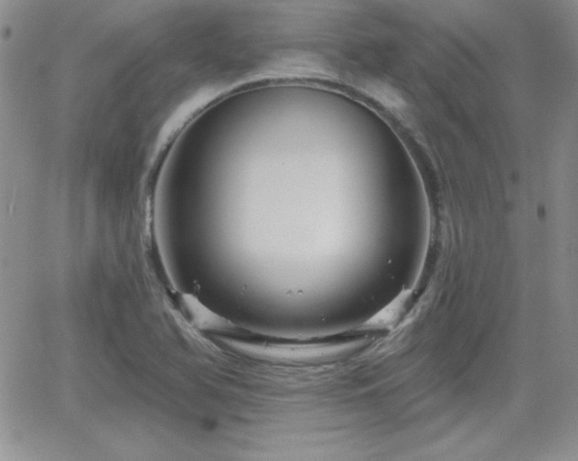 X0000066511366200603201248