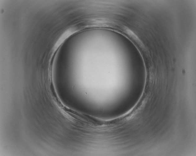 X0000066511370200603201248
