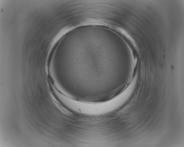 X0000066511372200603201247