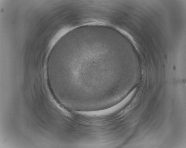 X0000066511375200603201247