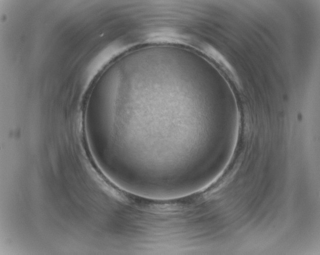 X0000066511376200603201247
