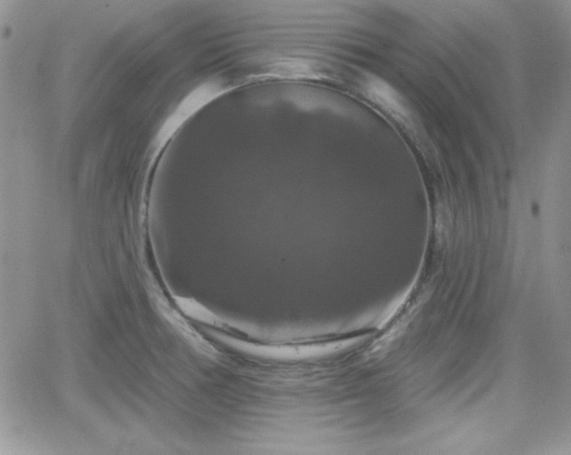 X0000066511378200603201247