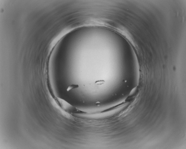X0000066511387200603201247