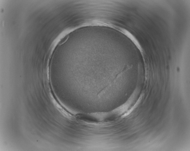 X0000066511388200603201247
