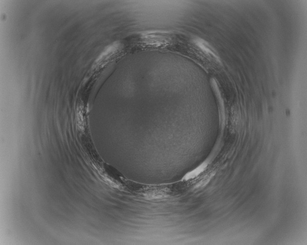 X0000066511394200603201246