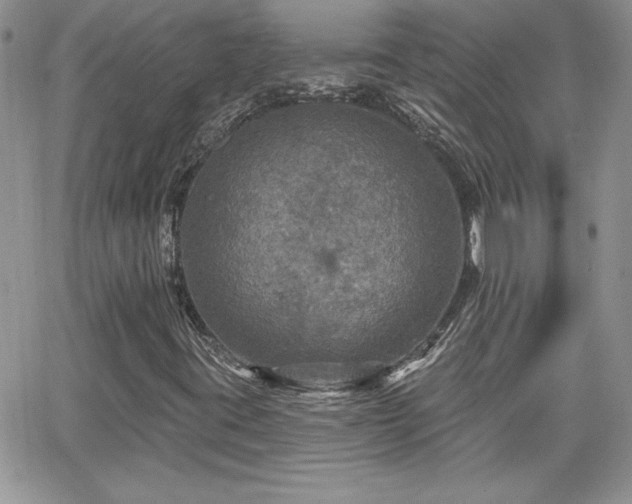 X0000066511395200603201246