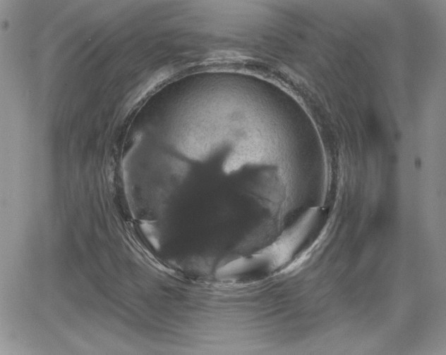 X0000066511401200603201247