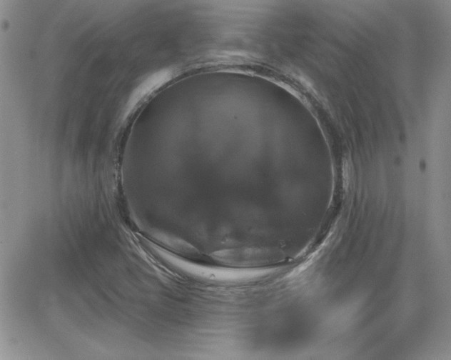 X0000066511405200603201247