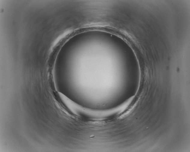 X0000066511406200603201247