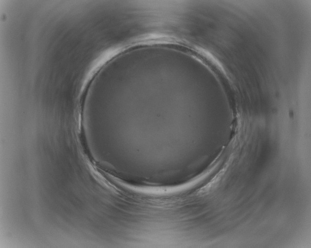 X0000066511413200603201247