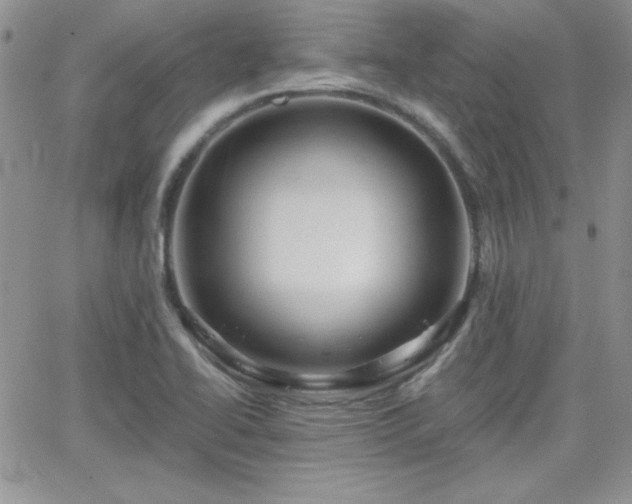 X0000066511414200603201247