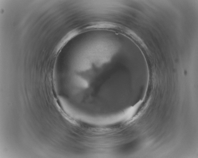 X0000066511425200603201247