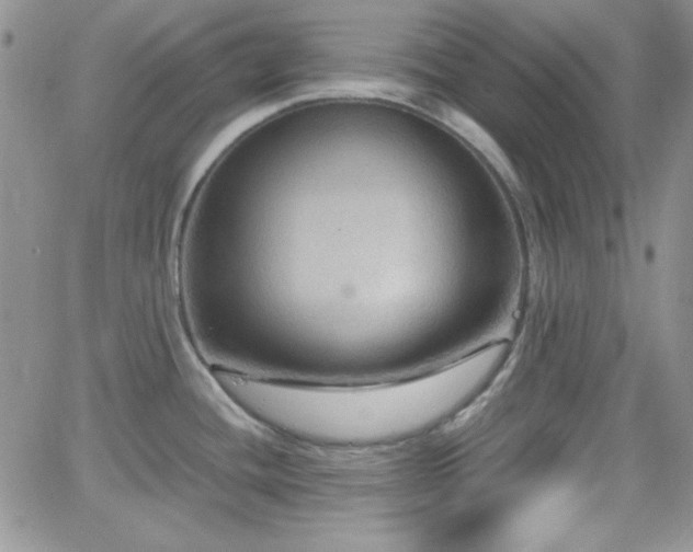 X0000066511436200603201247