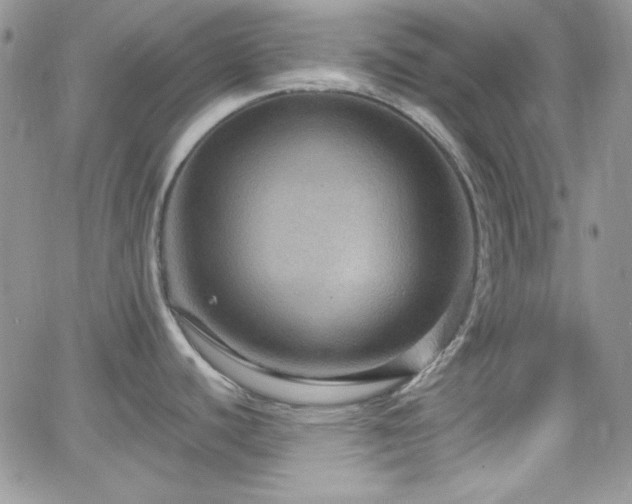X0000066511440200603201247