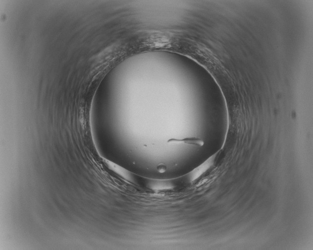 X0000066511442200603201246